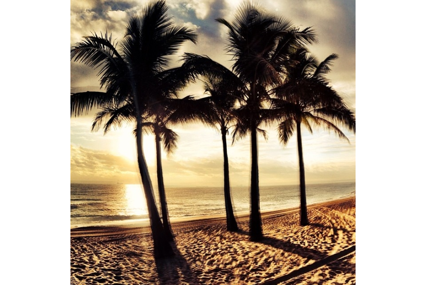 Instagram photo liked on 12/17/13