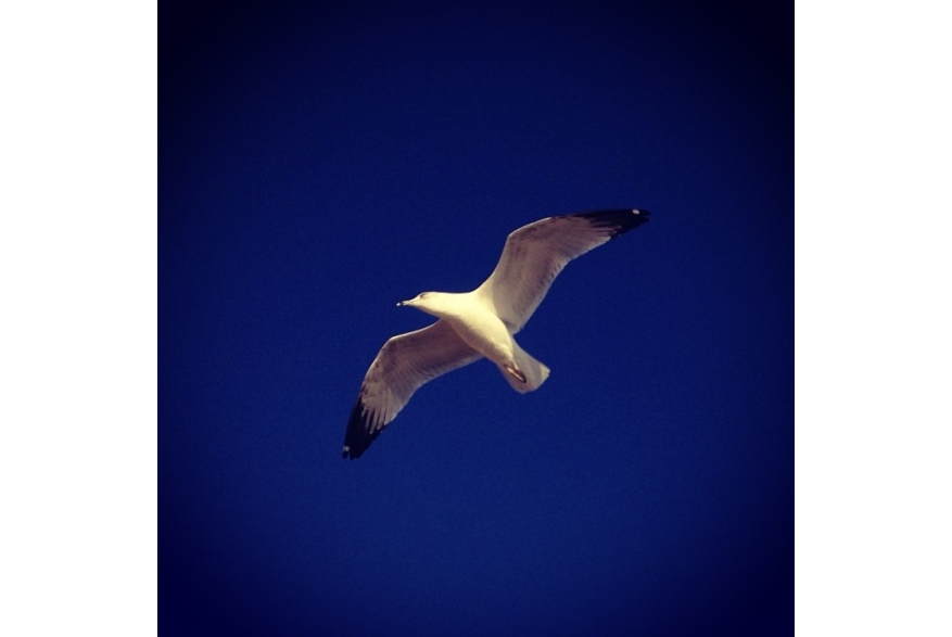 Instagram photo liked on 12/05/13