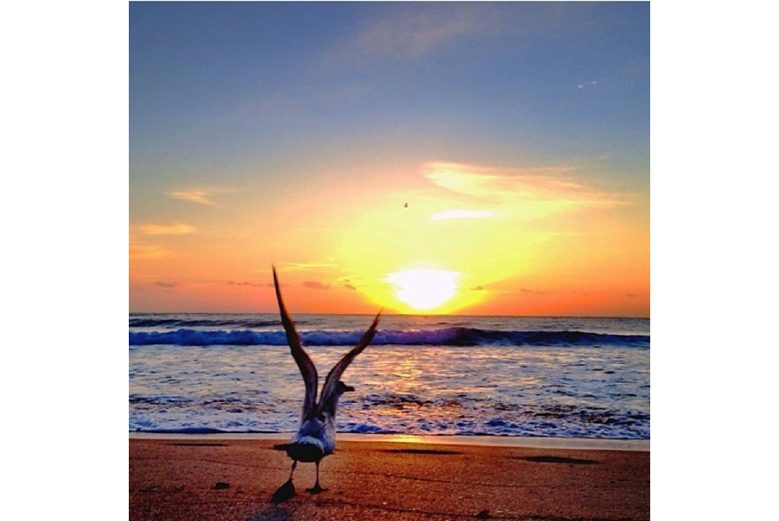 Instagram photo posted on 03/26/14