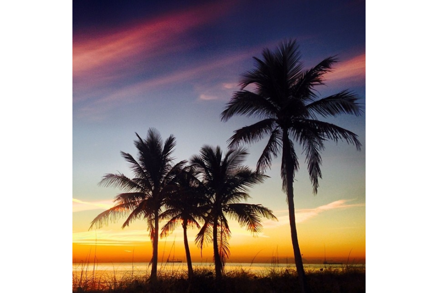Instagram photo liked on 01/26/14