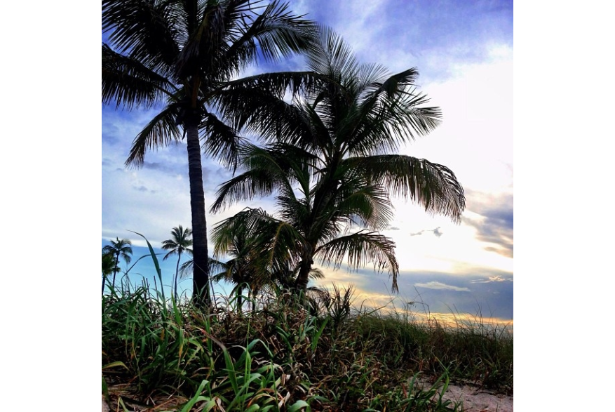 Instagram photo liked on 06/29/13
