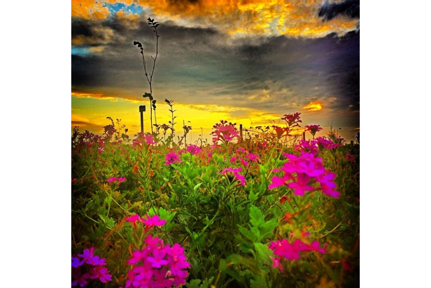 Instagram photo liked on 08/04/13