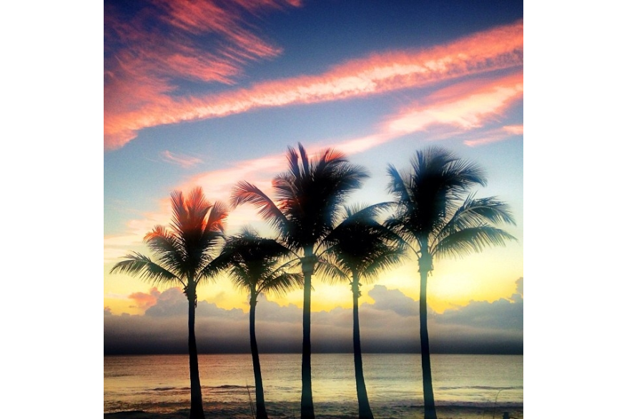 Instagram photo liked on 02/09/14