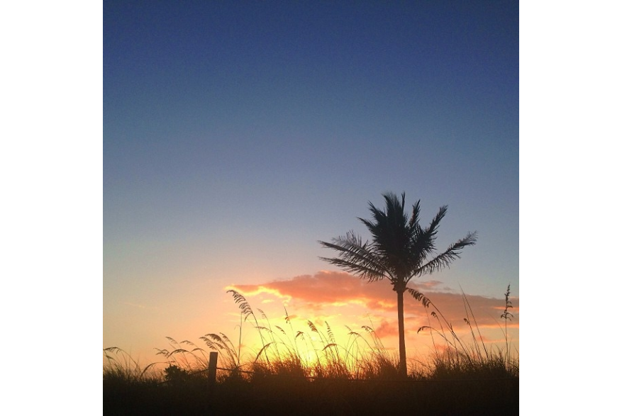 Instagram photo liked on 07/07/13