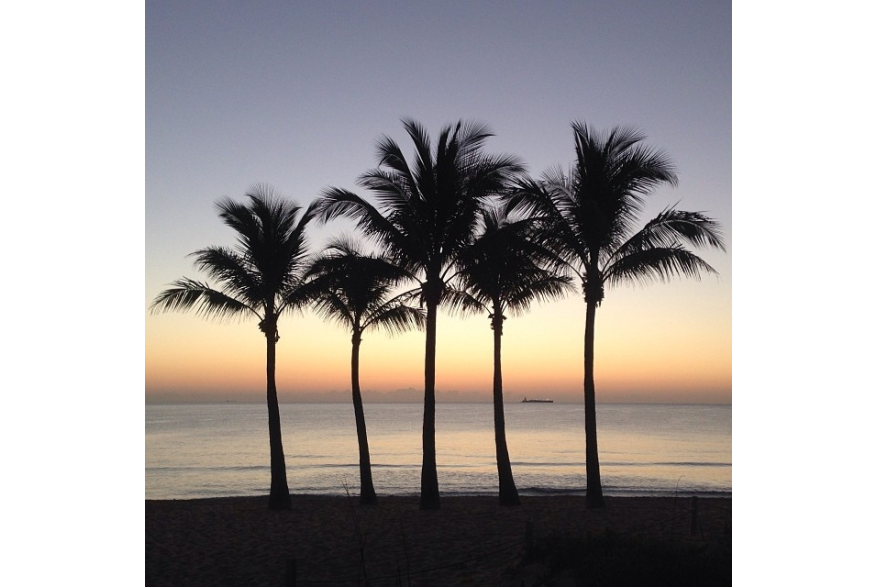 Instagram photo liked on 03/04/14