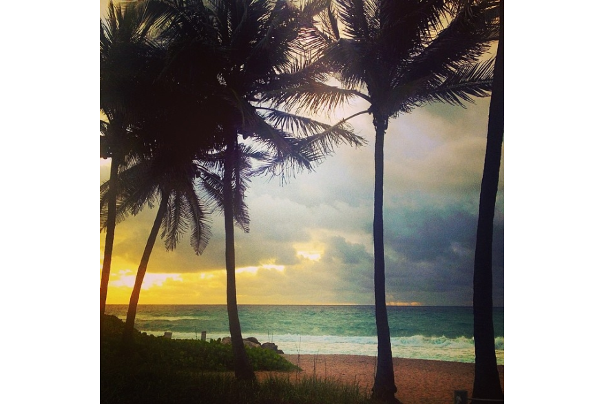 Instagram photo liked on 04/13/14