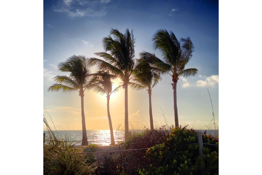 Instagram photo liked on 04/15/14
