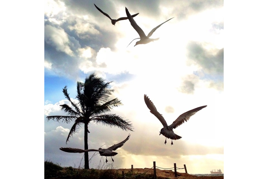 Instagram photo liked on 01/01/14