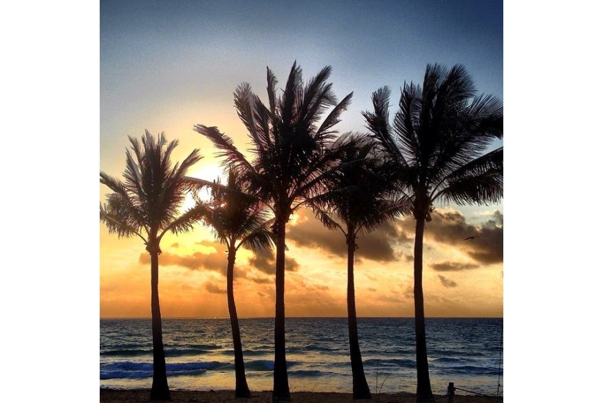 Instagram photo liked on 04/17/14