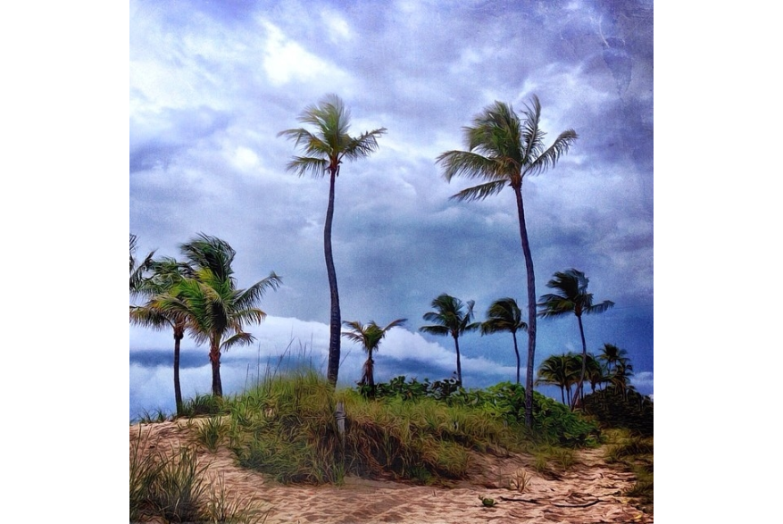 Instagram photo liked on 04/19/14
