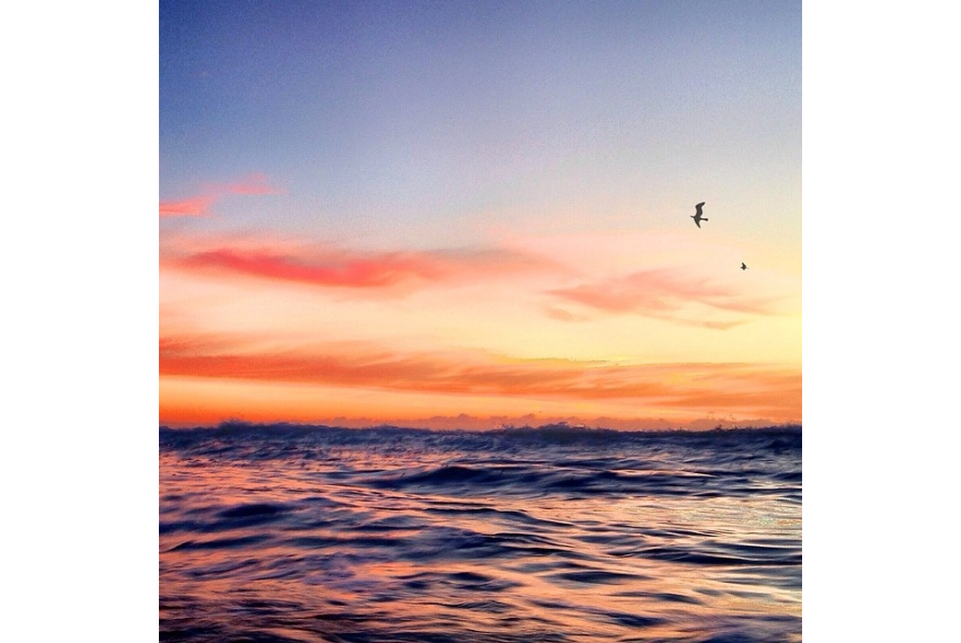 Instagram photo liked on 04/21/14