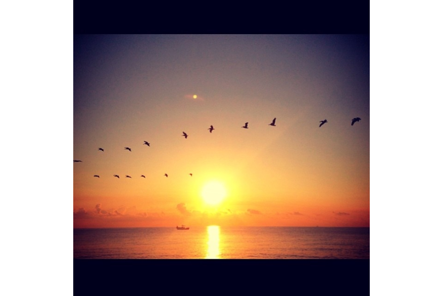 Instagram photo liked on 04/24/14