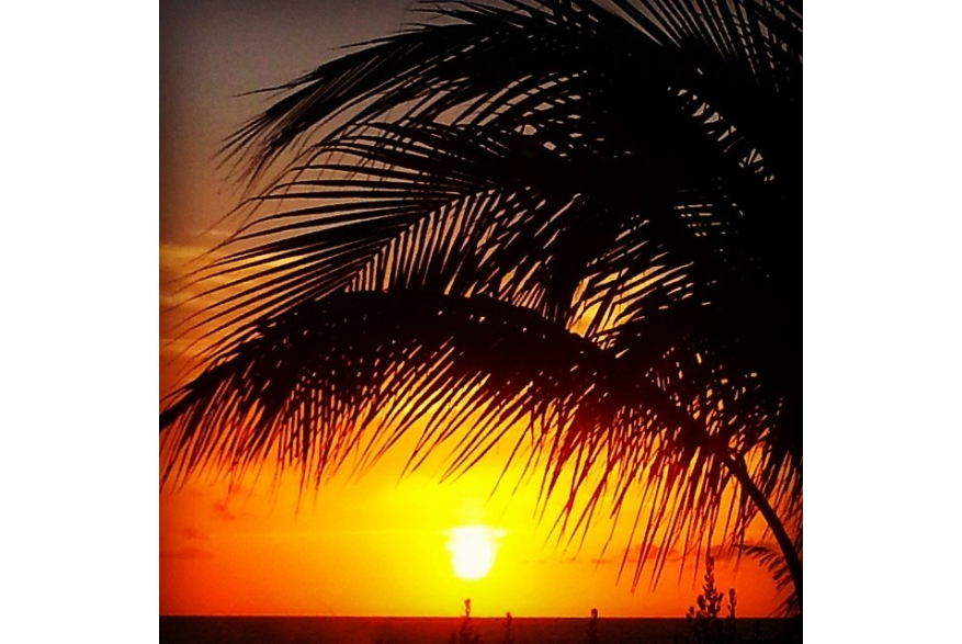 Instagram photo liked on 04/30/14