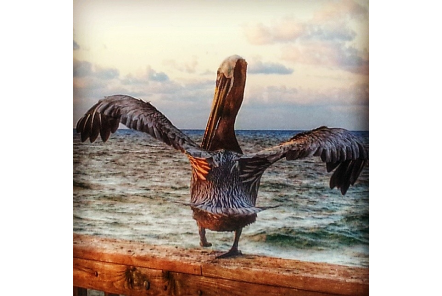 Instagram photo liked on 05/07/14