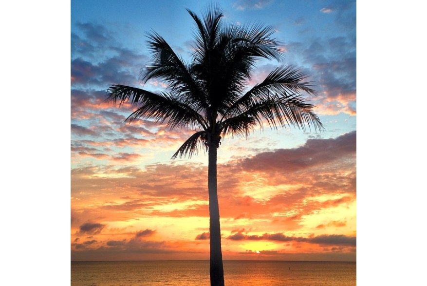 Instagram photo liked on 03/24/14