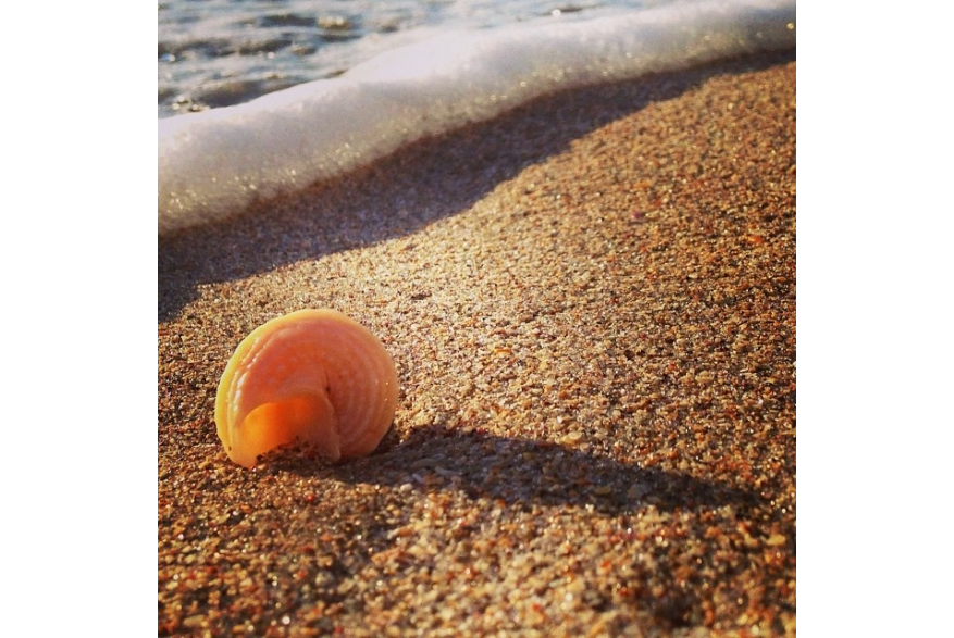 Instagram photo liked on 10/10/13