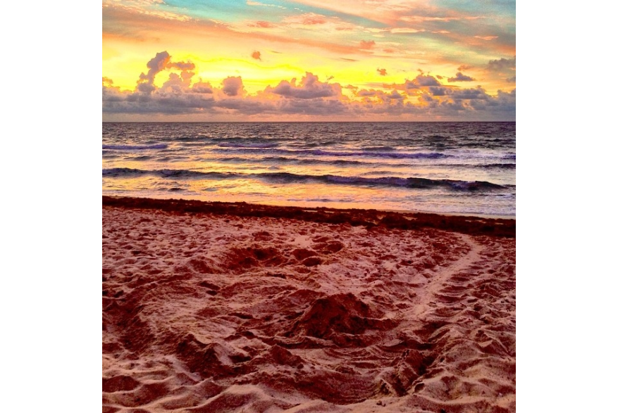 Instagram photo liked on 06/01/14