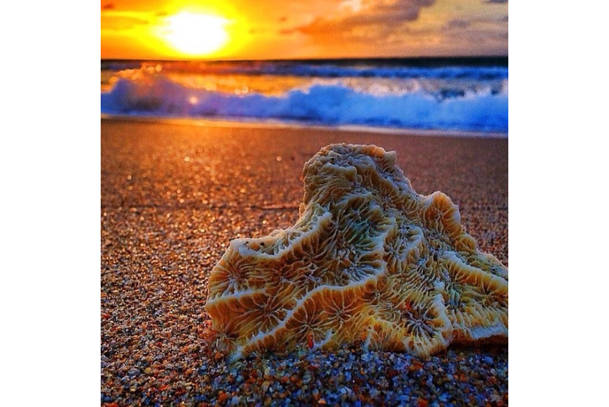 Instagram photo liked on 06/03/14
