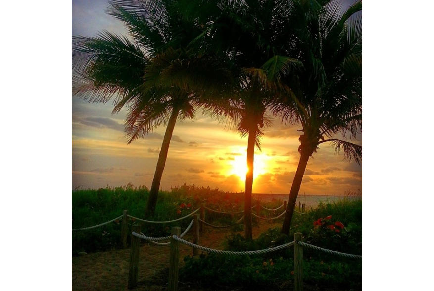 Instagram photo liked on 06/04/14
