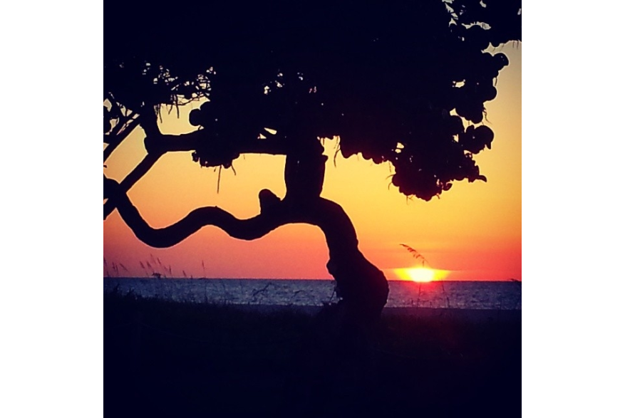 Instagram photo liked on 06/05/14