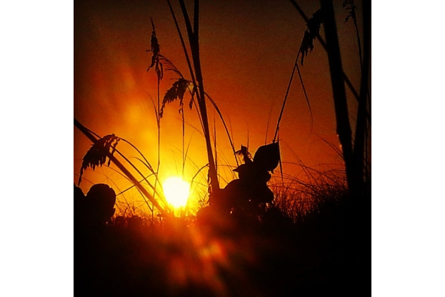 Instagram photo liked on 06/05/14
