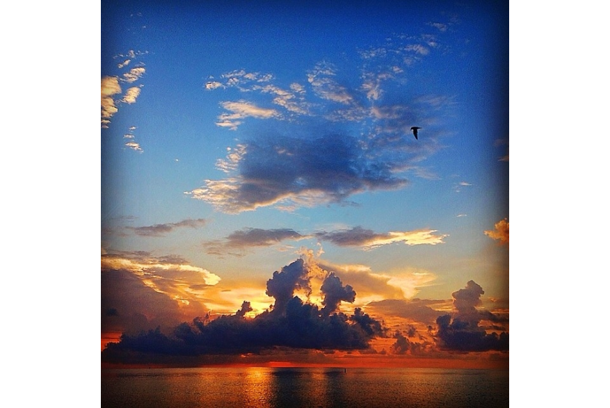 Instagram photo liked on 06/10/14