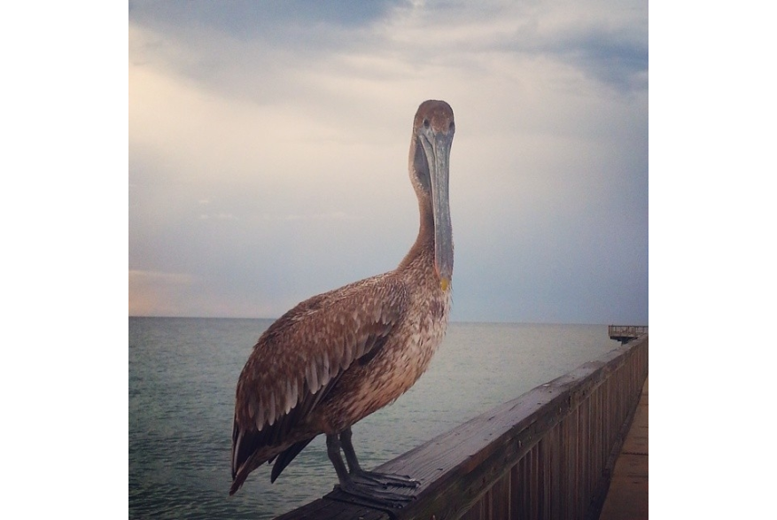 Instagram photo liked on 06/12/14