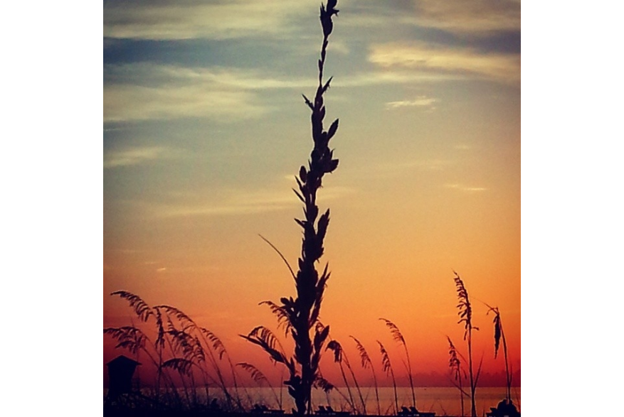 Instagram photo liked on 06/14/14