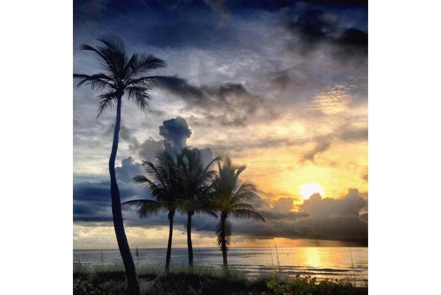 Instagram photo liked on 06/19/14