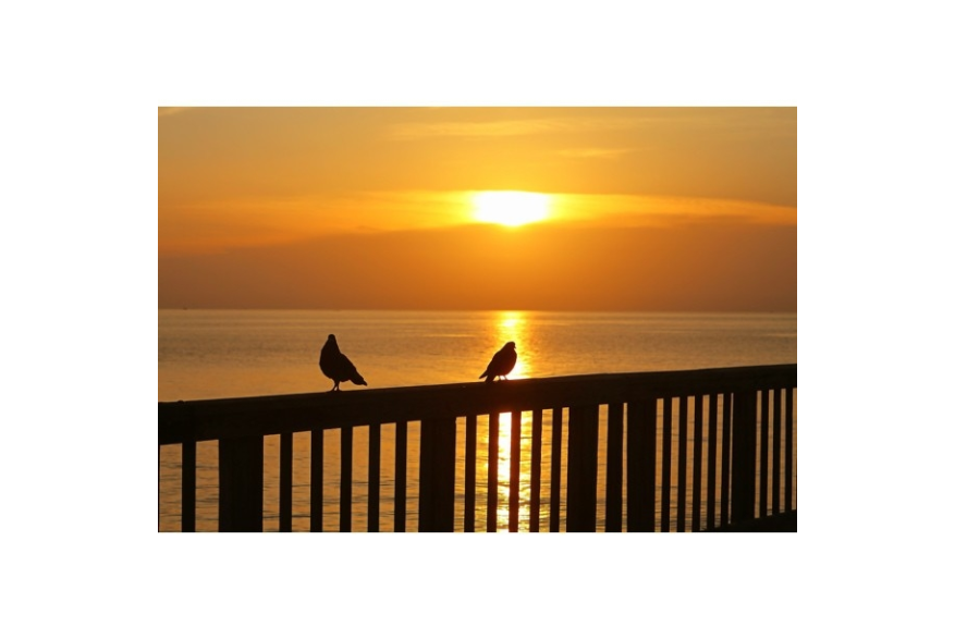 Instagram photo liked on 06/21/13