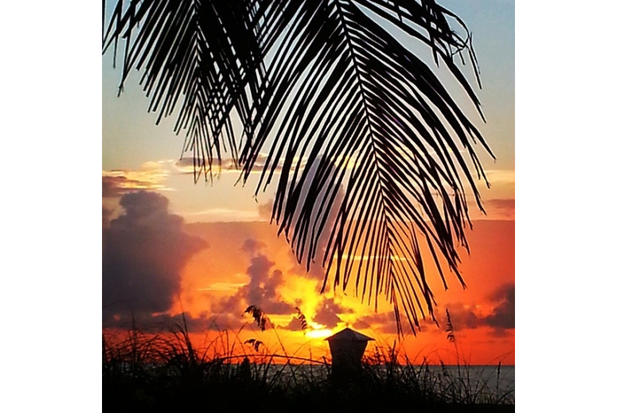 Instagram photo liked on 07/08/14