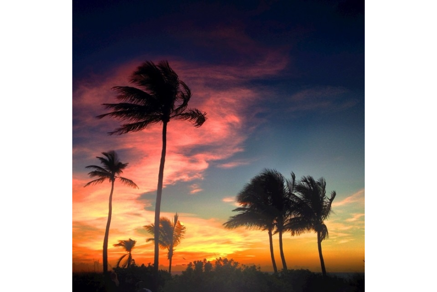 Instagram photo liked on 07/13/14