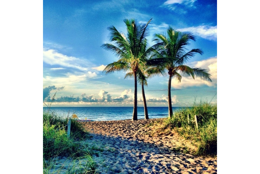 Instagram photo liked on 07/16/14