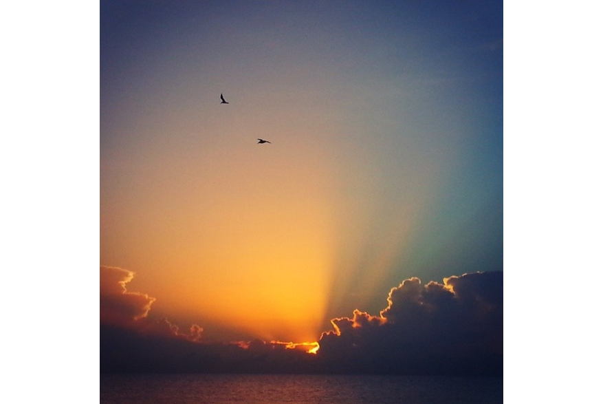 Instagram photo liked on 07/17/14
