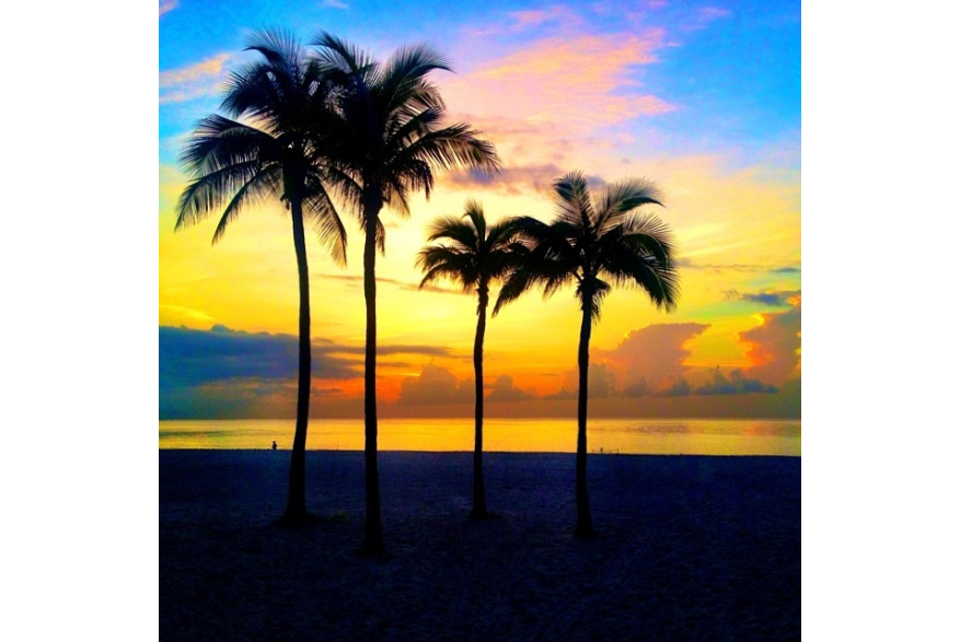 Instagram photo liked on 07/28/14