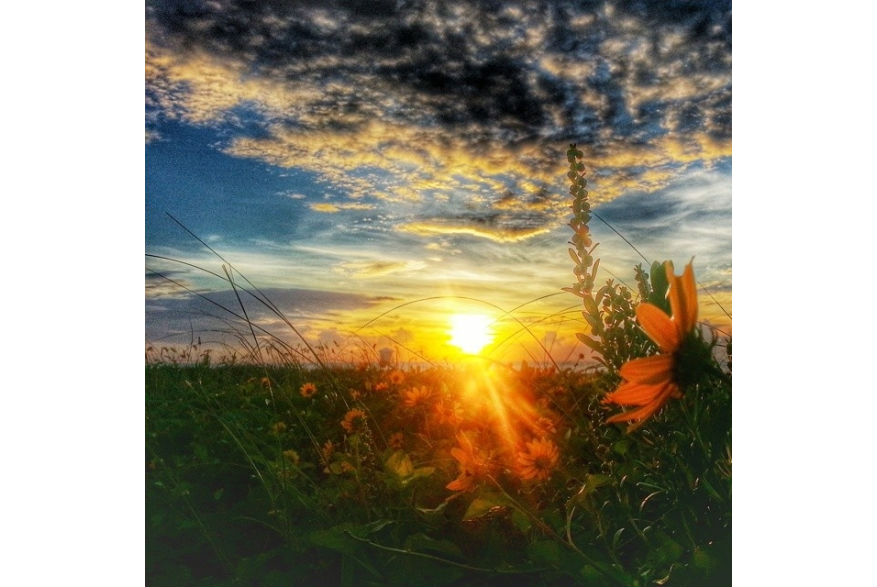 Instagram photo liked on 08/05/14