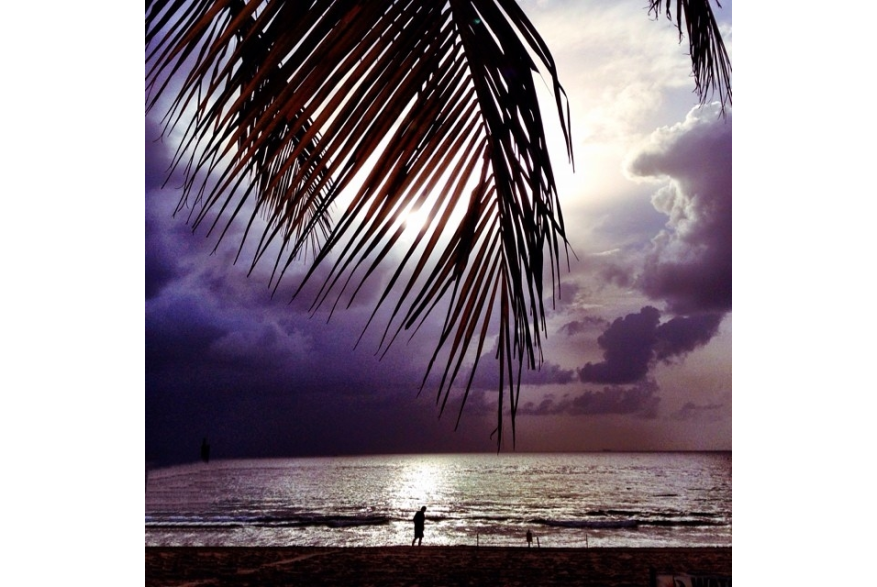 Instagram photo liked on 08/17/14