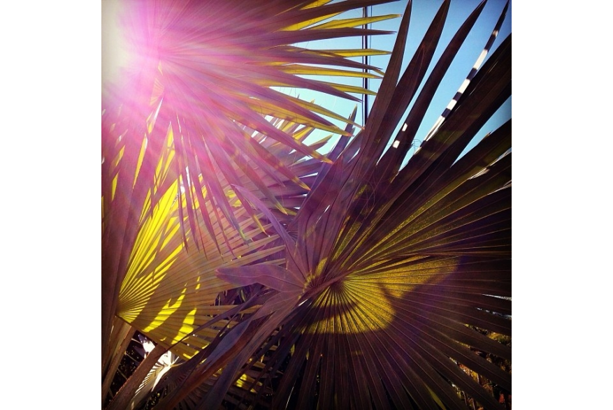 Instagram photo liked on 01/27/14
