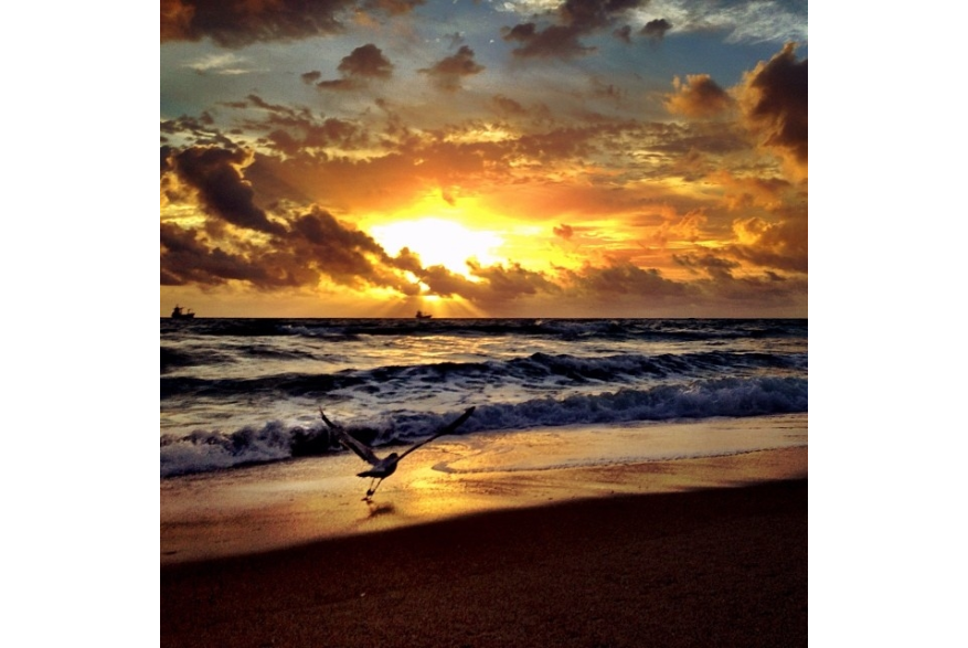 Instagram photo liked on 01/10/14