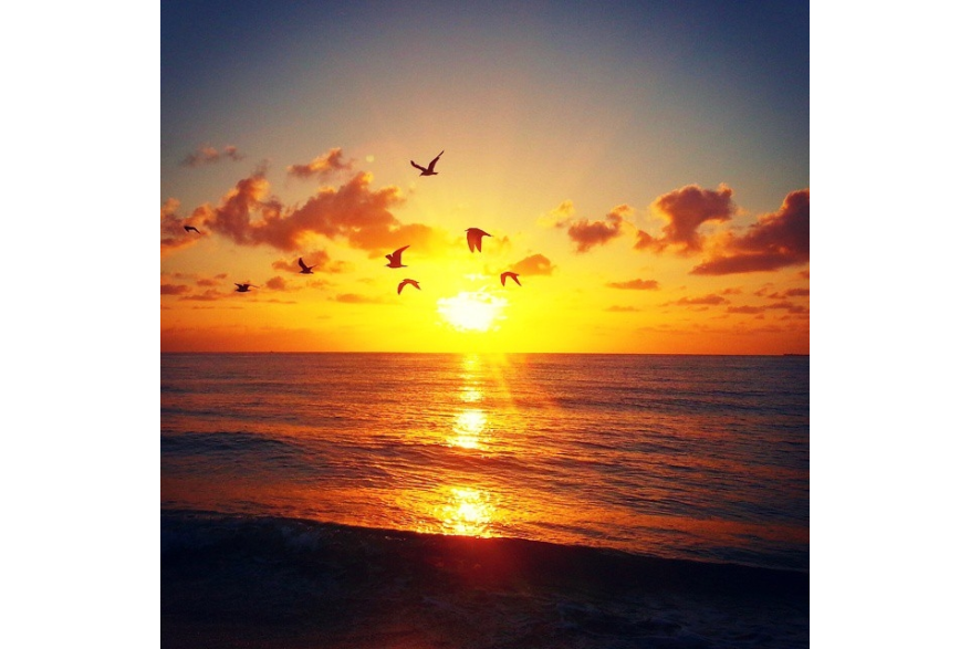 Instagram photo liked on 08/24/14