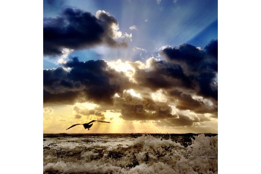 Instagram photo liked on 08/26/14