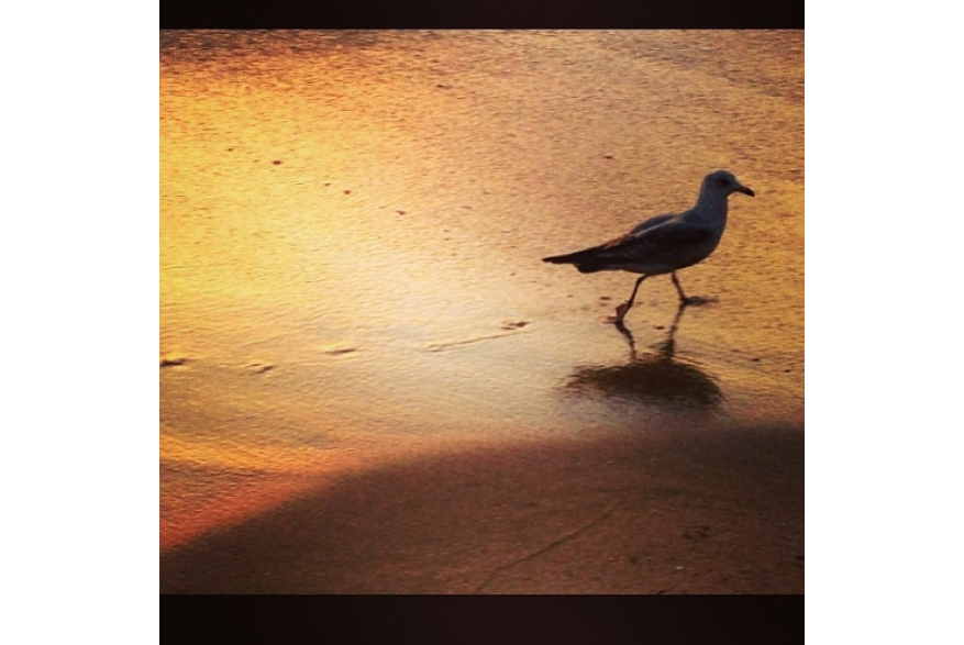 Instagram photo liked on 12/18/13