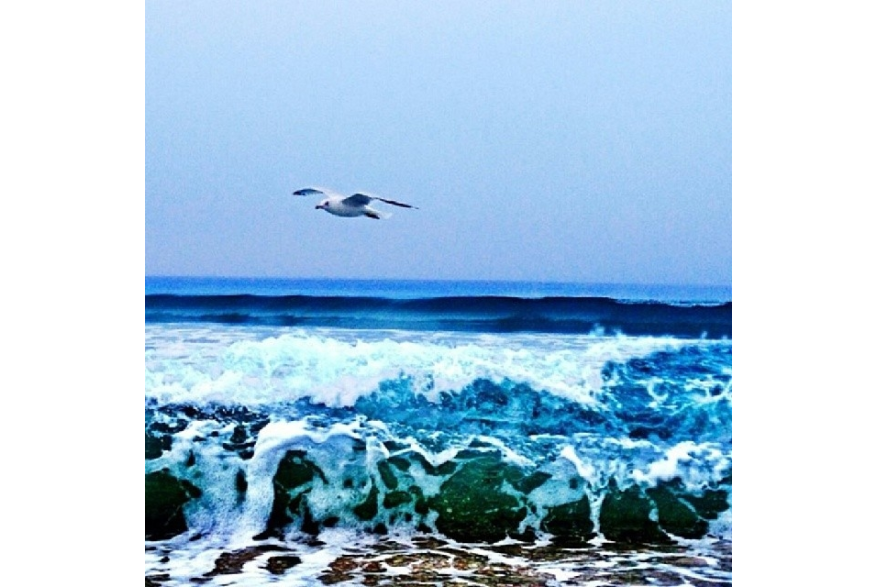 Instagram photo posted on 02/09/14