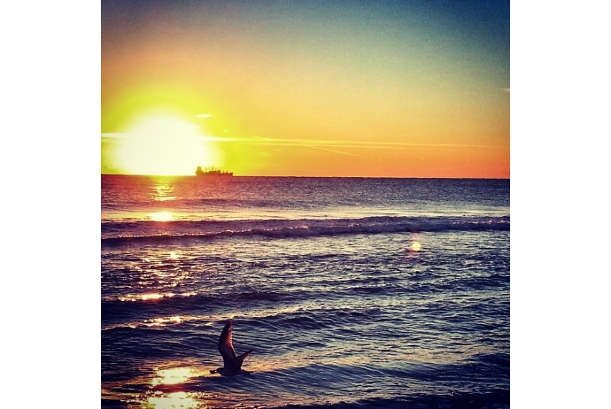 Instagram photo liked on 01/23/14