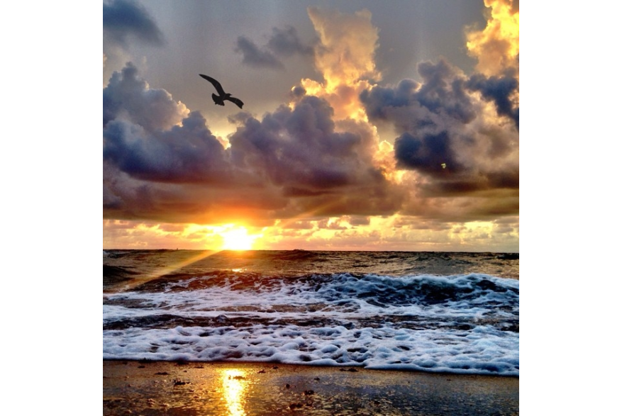 Instagram photo liked on 09/07/14