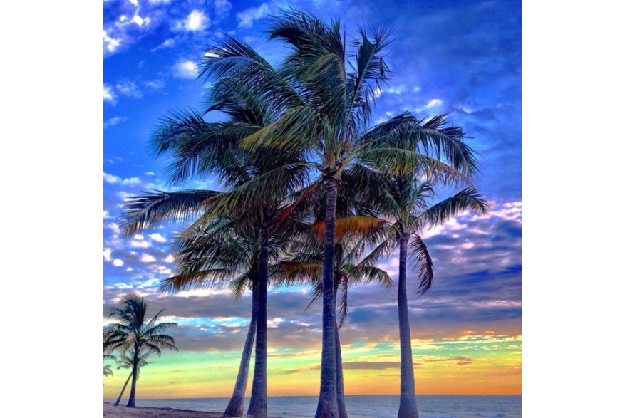 Instagram photo liked on 09/14/14