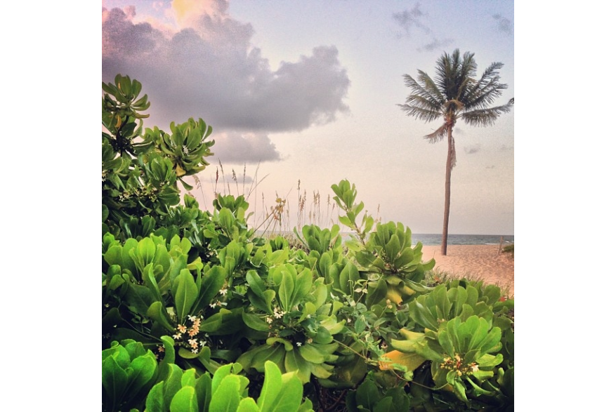 Instagram photo liked on 08/14/13