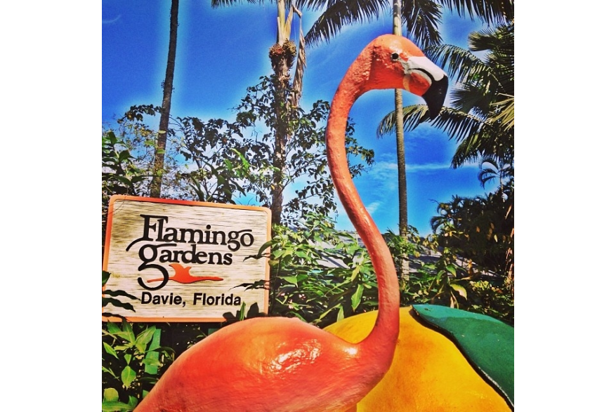 Instagram photo liked on 01/26/14