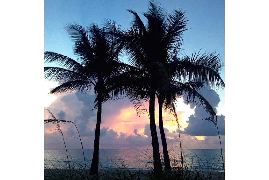 Instagram photo liked on 07/29/13