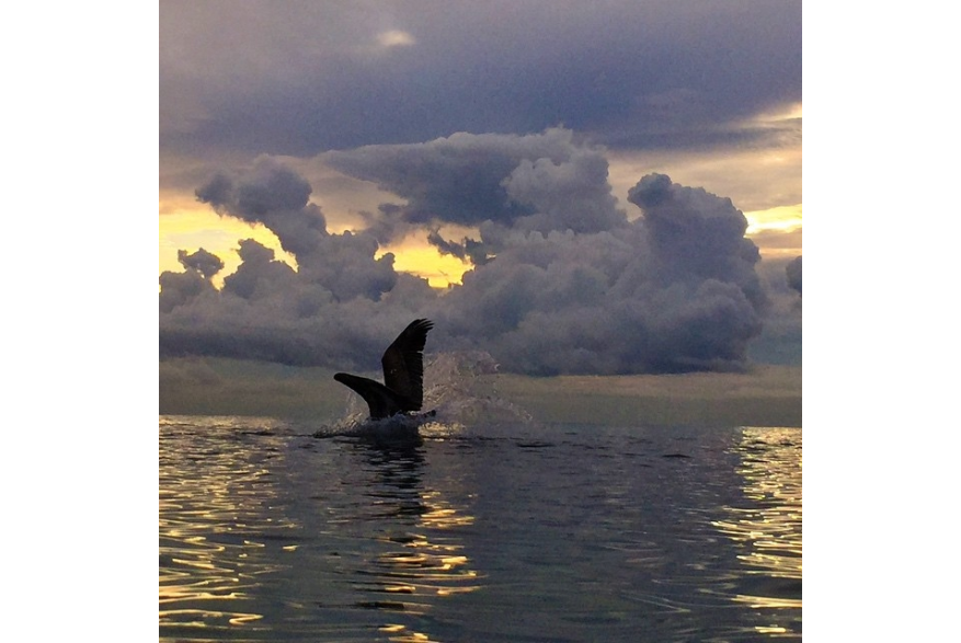 Instagram photo liked on 10/22/14